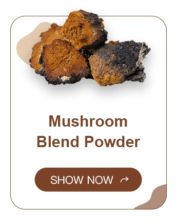 Mushroom Blend Powder